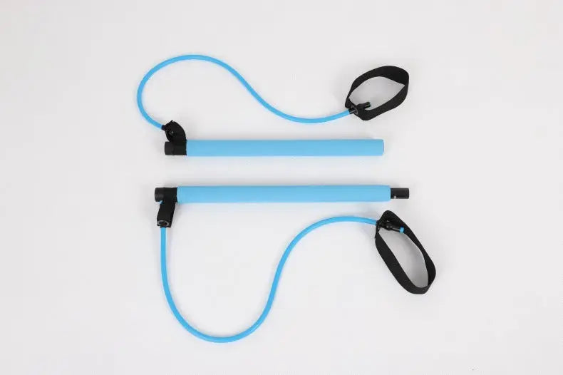 Chest Expander Puller